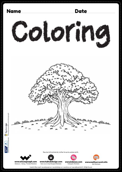 Tree coloring page for kids